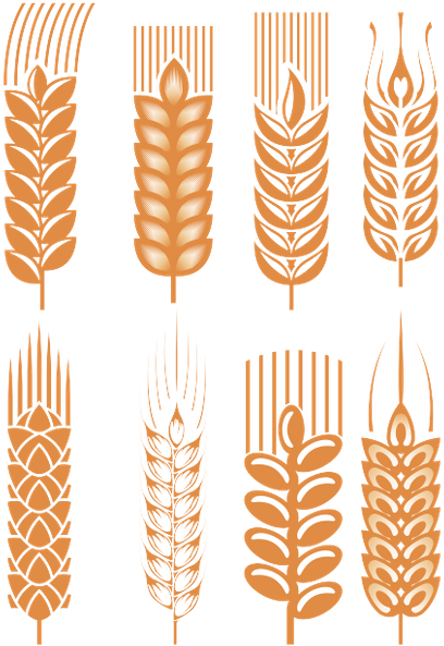 Кутья из пшеницы