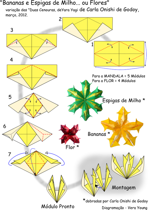 11 Bananas - Diagram (568x800), Png Download