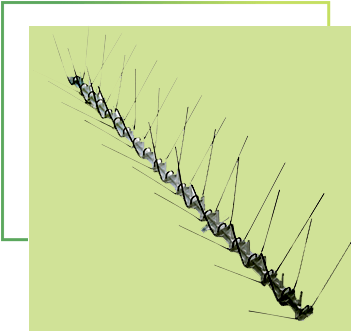 Espigas - Bird Deterrents (350x350), Png Download