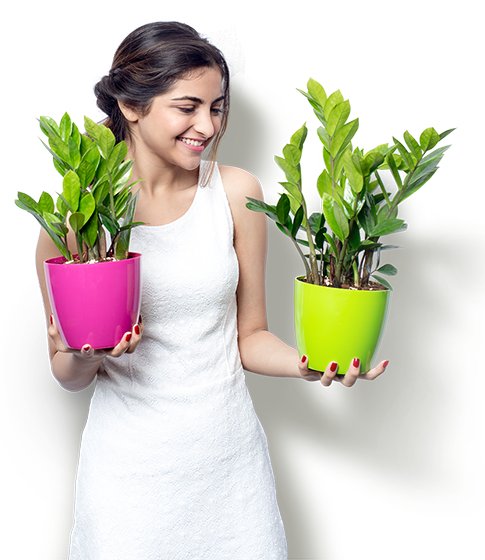 Welcome - Harshdeepindia (485x560), Png Download