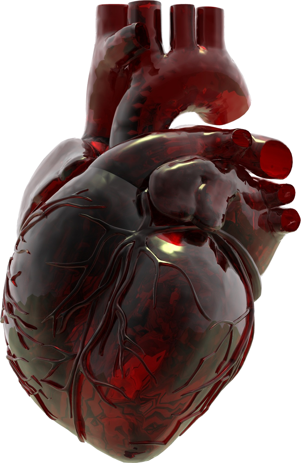 Anatomical Heart, Red Glass, Heart Art, Human Heart, - Glass Anatomical Heart (978x1501), Png Download