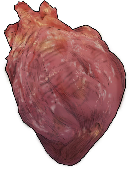Heart - Portable Network Graphics (1000x981), Png Download