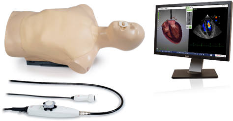 Gui Screen - Tee Simulator (654x360), Png Download