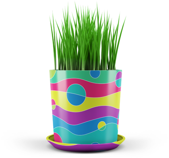 Tvi Garden Planters Proposal - Garden (600x600), Png Download