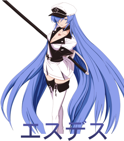 Gender, Female - Akame Ga Kill Anime Wall Print Poster Decor 32x24 (400x469), Png Download