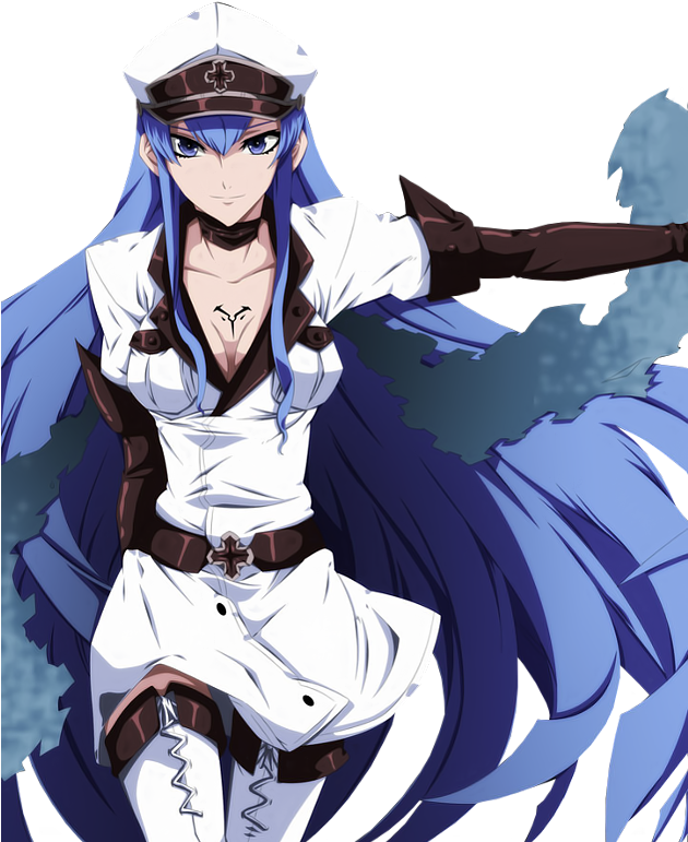 No Caption Provided - Esdes Akame Ga Kill (629x786), Png Download