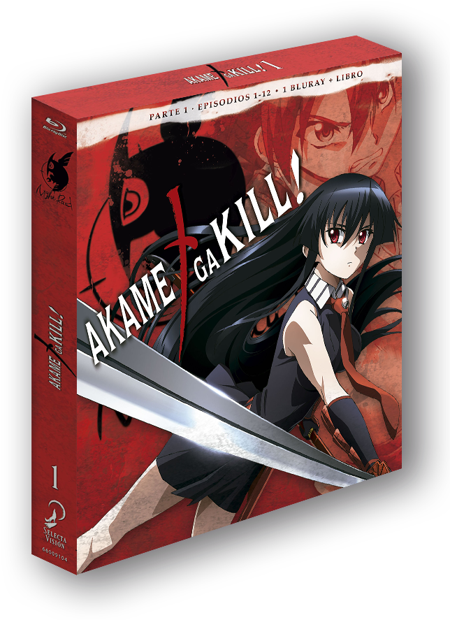 Review De "akame Ga Kill " Ed - Akame Ga Kill - Collection 1 Episodes 1-12 Dvd (678x900), Png Download