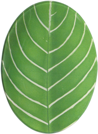John Derian Company Inc Fern Leaf - Platter (480x480), Png Download