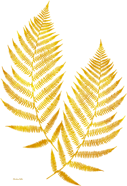 Click And Drag To Re-position The Image, If Desired - Fern Art (466x700), Png Download