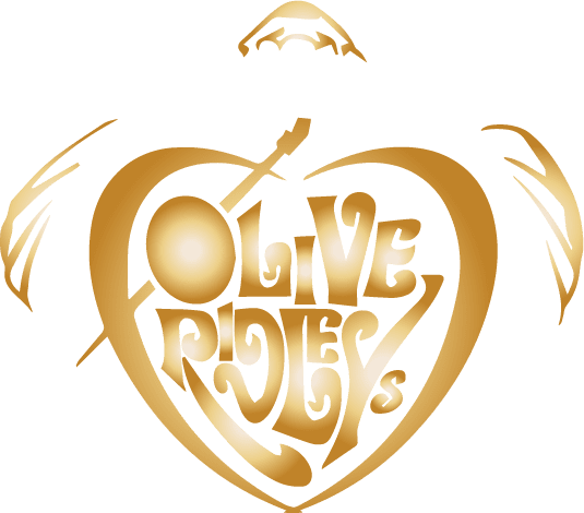 Olive Ridley's Taphouse & Grill - Olive Ridley's Restaurant (535x470), Png Download