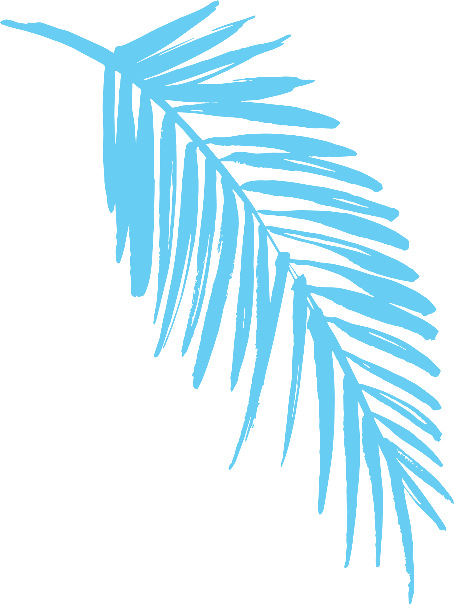 2019 Light Blue Fern Leaf - Clip Art (1559x2000), Png Download