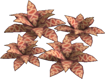 Maple Leaf (427x399), Png Download