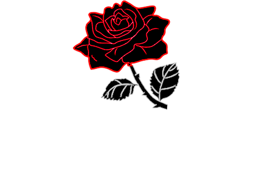 Black Rose 960x720, - Roses Edit (960x720), Png Download