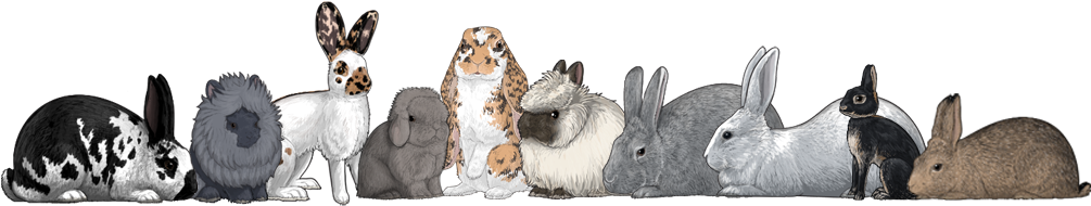They Can Be Attached To Cages With Clips For Easy Moving - Snowshoe Hare (1013x210), Png Download