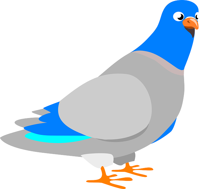 Dove Vector - Pigeon Clip Art (640x605), Png Download