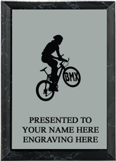 Metallix Plaques - Commemorative Plaque (300x400), Png Download