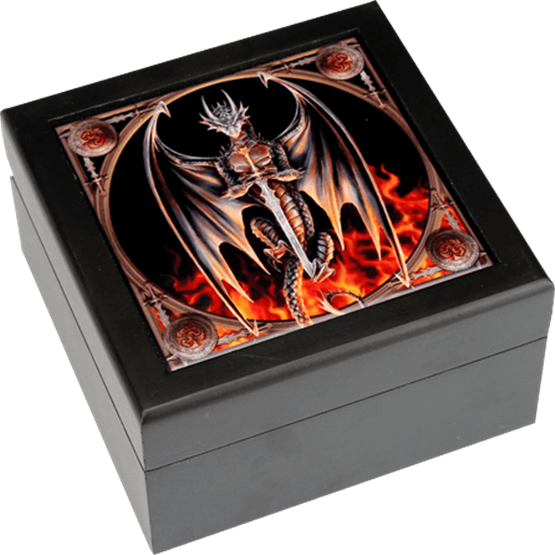 Dragon Warrior Wooden Box By Anne Stokes - Anne Stokes Dragon Warrior Canvas Print 19x25cm (555x555), Png Download