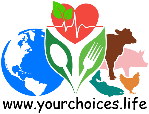 Thank You For Visiting Yourchoices - Earth Clip Art (499x383), Png Download