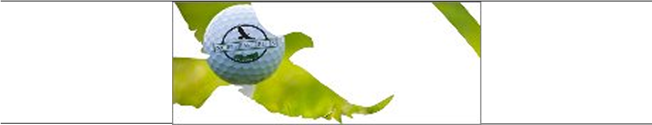 Error - Flag (916x609), Png Download