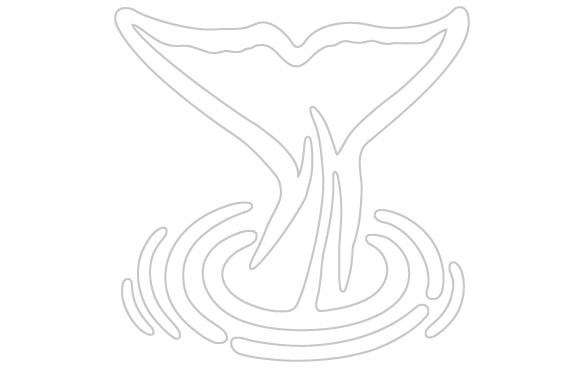 Whale Tail Sticker (584x368), Png Download