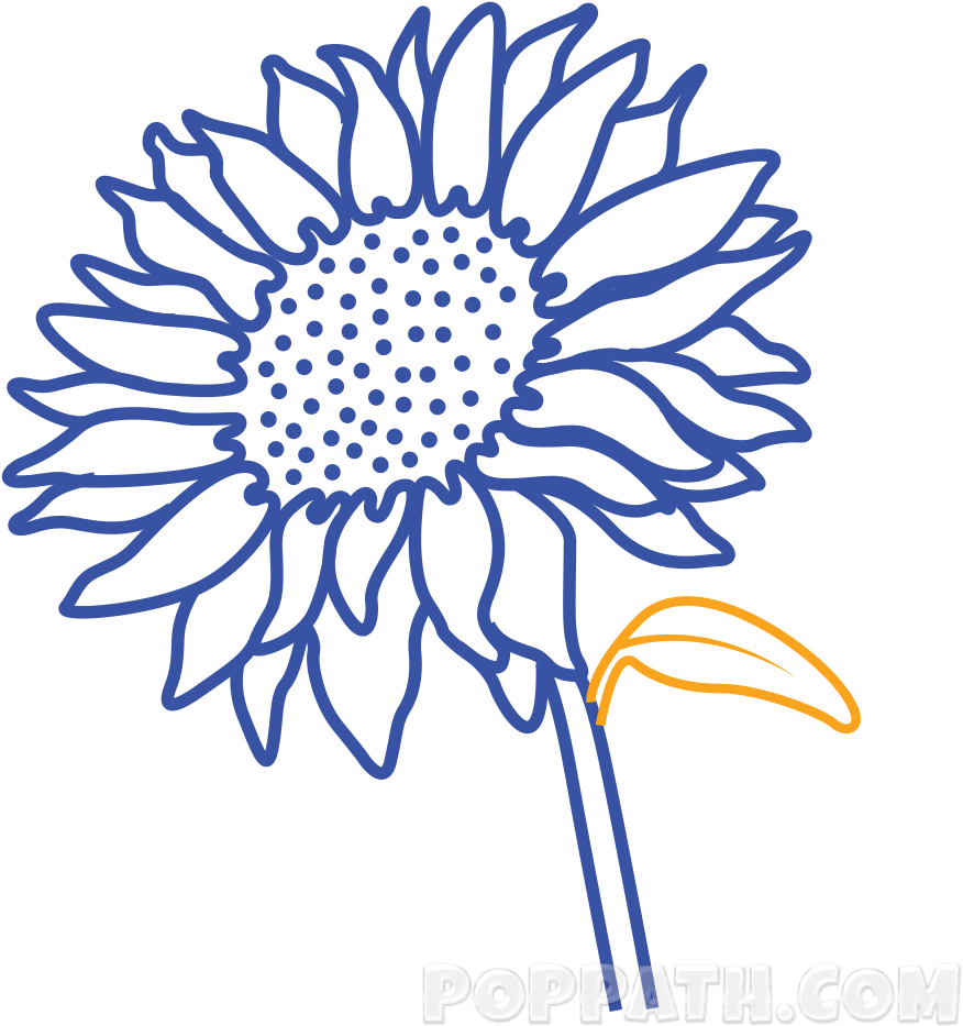 Attach A Leaf To It - Common Sunflower (1000x1000), Png Download