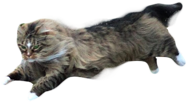 Render Of The Cat - Cat Yawns (743x542), Png Download