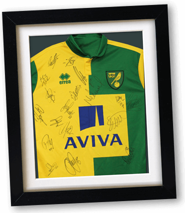 Banner Norwich Shirt Frame - Norwich City Trikot (372x429), Png Download