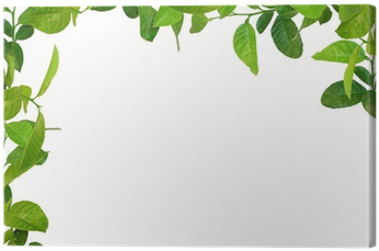 Leaves Frame (400x400), Png Download