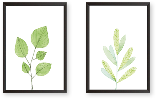 Leaves - Arizona (600x600), Png Download