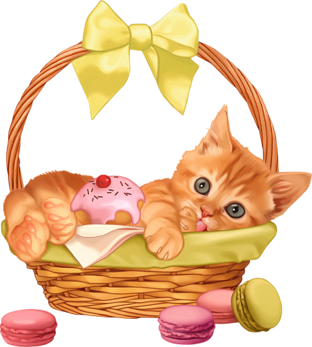 Gatti Tubes Per Grafica In Png Animal - Kitten In A Basket Clipart (452x504), Png Download