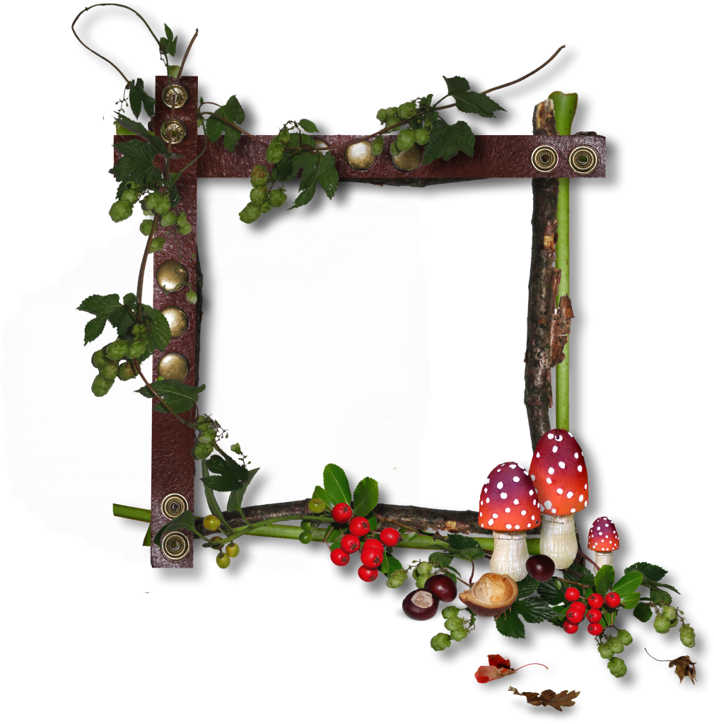 Ch - B *✿* - Good Morning Falling Leaves (1010x1024), Png Download