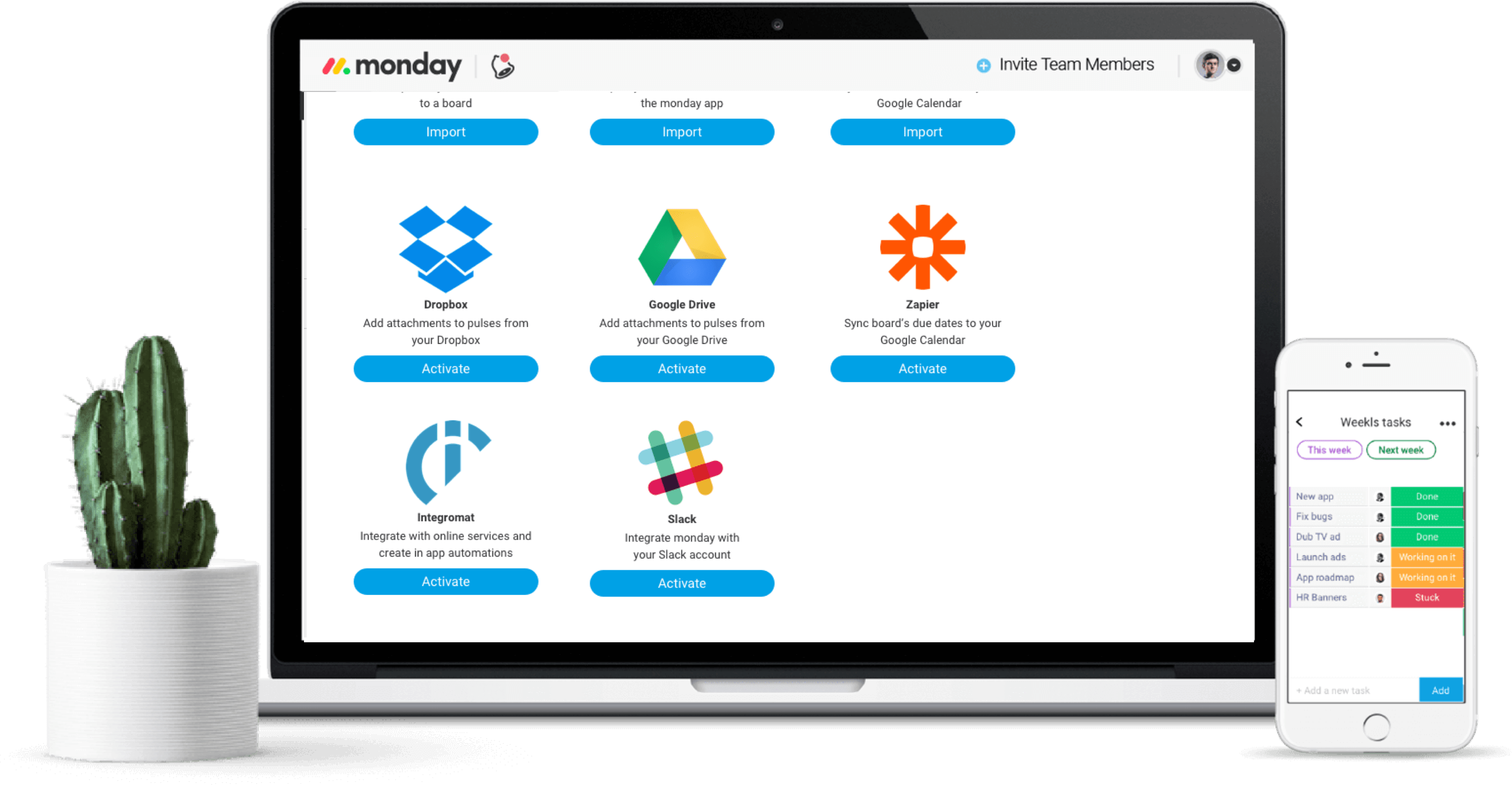 Board With Cactus And Phone2 - News (3094x1606), Png Download