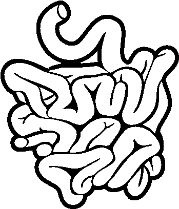 Small Intestine Coloring Page - Small Intestine Black And White (600x470), Png Download
