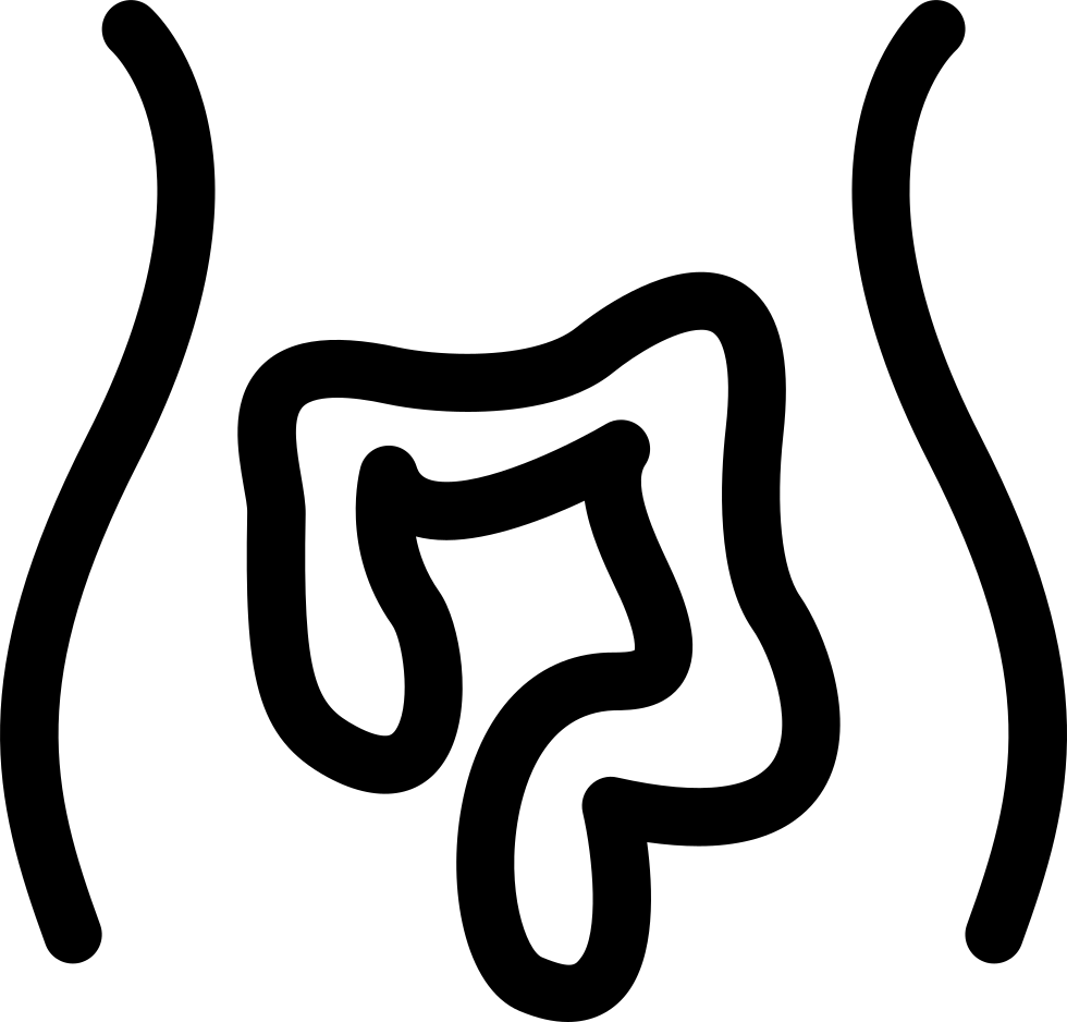 Download Intestines Comments Boş Verme Oy Ver Full Size PNG Image
