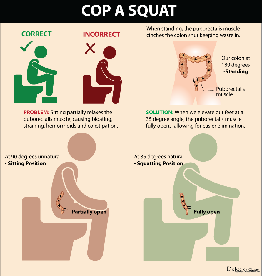 Are You Nourishing Your Body With A Healthy Intake - Best Poop Position For Constipation (891x939), Png Download