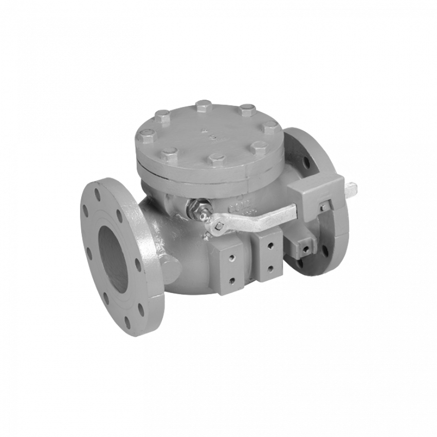 Mueller® 2"-12" Swing Type Lever And Weight Check Valves (850x850), Png Download