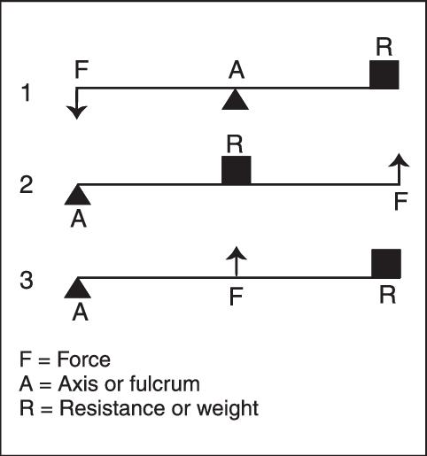 Lever Classes - - Science (482x515), Png Download