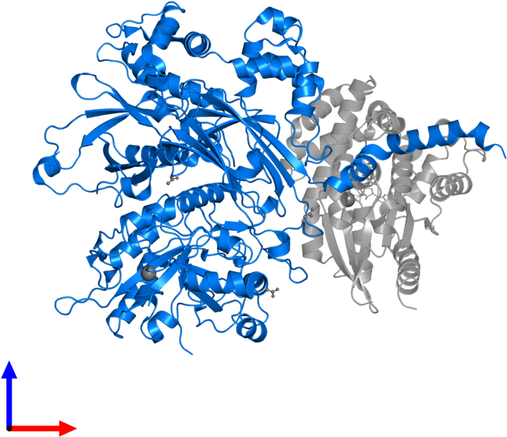 <div Class='caption-body'>pdb Entry 3ohm Contains 1 - Actin (800x800), Png Download