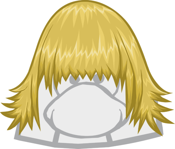 The Skater - Club Penguin The Right (562x480), Png Download