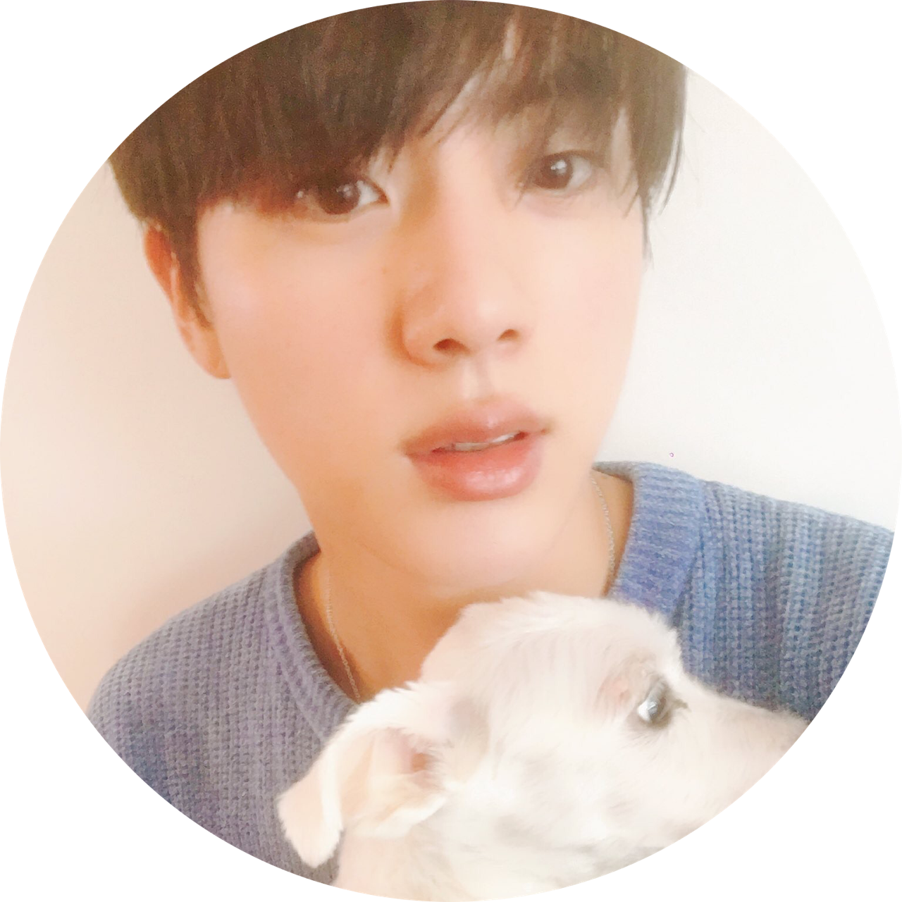 Jin Bts Tumblr - Bts Jin And Jjanggu (1280x1280), Png Download