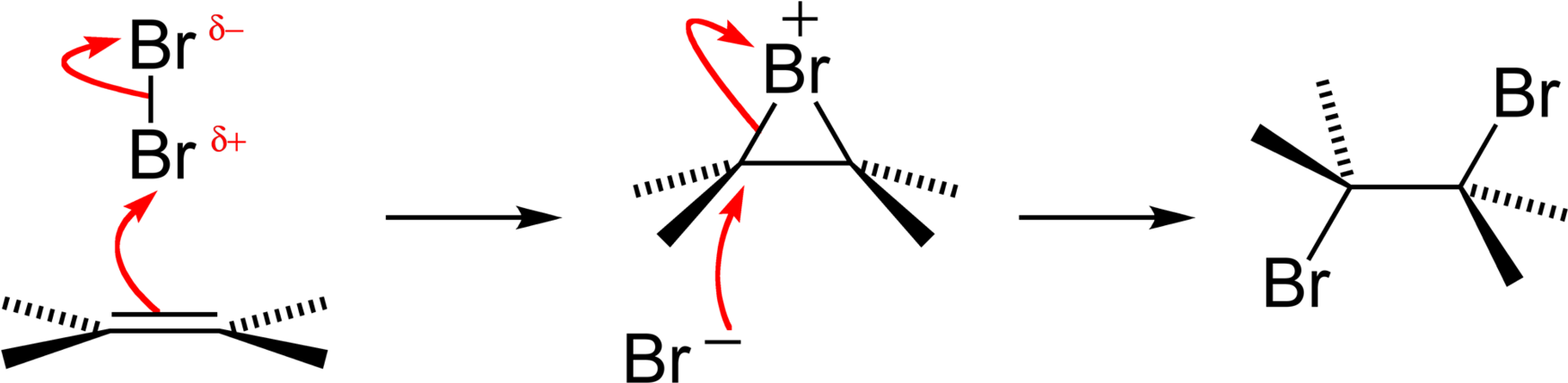 Two Arrows Are Shown In This Mechanism - Bromine Addition To Alkene (1920x600), Png Download