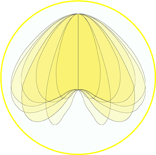 Loop Batwing Detail - Circle (798x653), Png Download