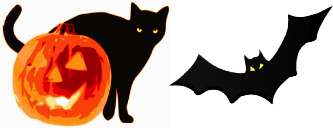 Whiskers And Wings - Jack O Lantern Png (1072x413), Png Download
