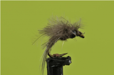 Bwo Batwing Emerger - House Fly (398x398), Png Download