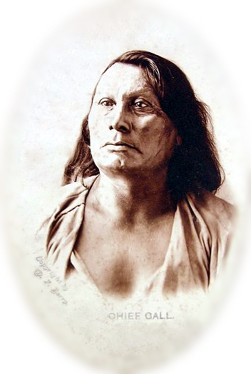 Chief Gall - Chief Gall Or Pizi (352x524), Png Download