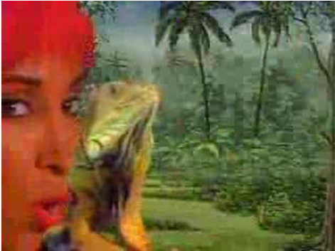 Green Iguana (625x352), Png Download