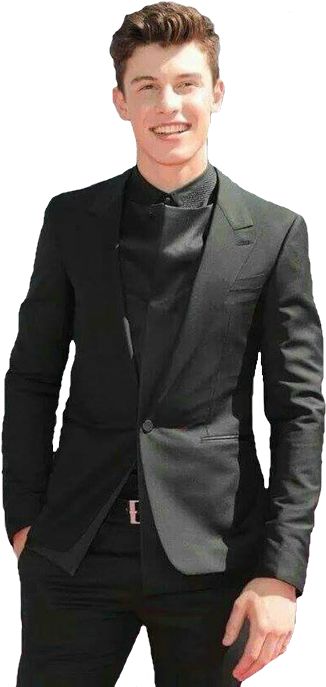 Shawn Mendes Transparents (500x703), Png Download