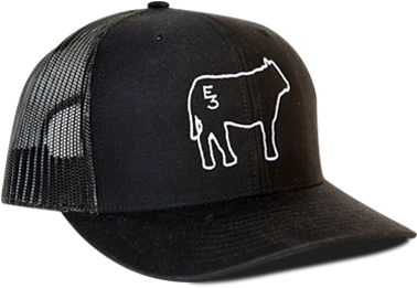 Get The E3 Hat That No One Else Has, Our Limited Edition - Thrasher Cap (386x366), Png Download