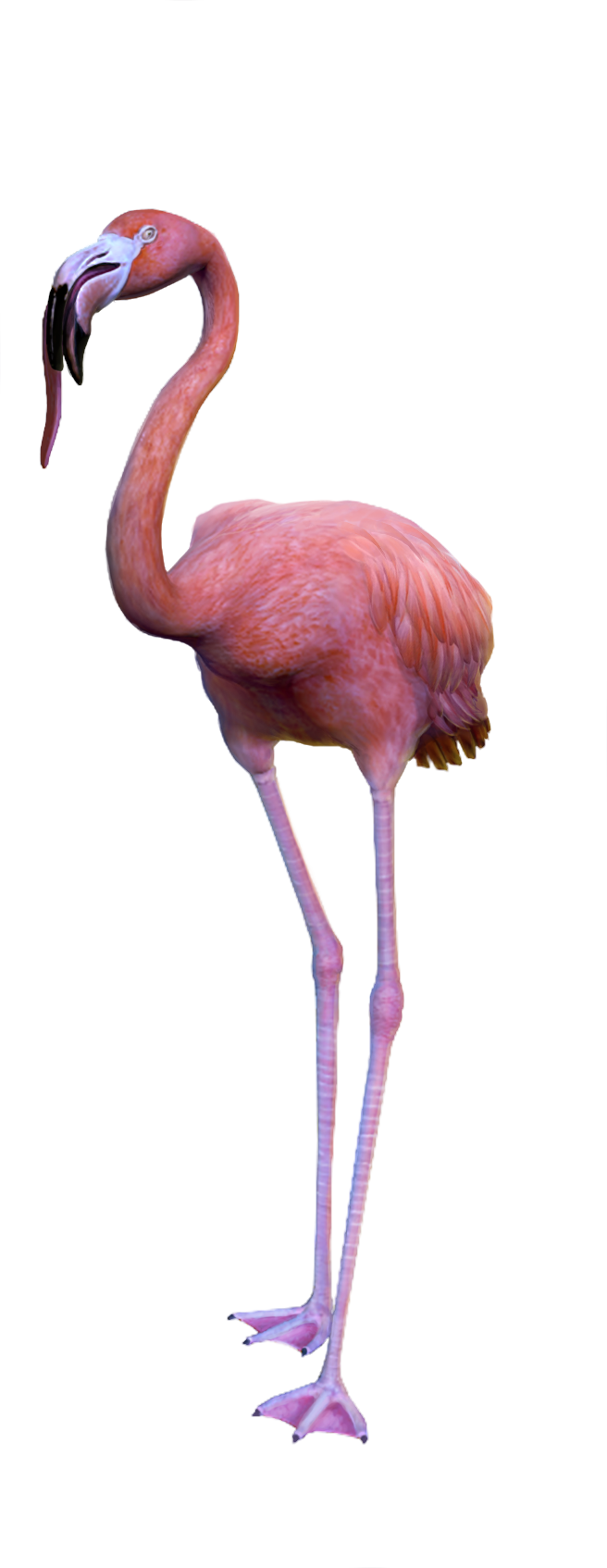 Valentino Salami Is One Badass Ostrich, Chicken, Or - Goat Simulator Payday Costume (656x1694), Png Download