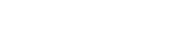 Twitter Bird White Transparent (800x233), Png Download
